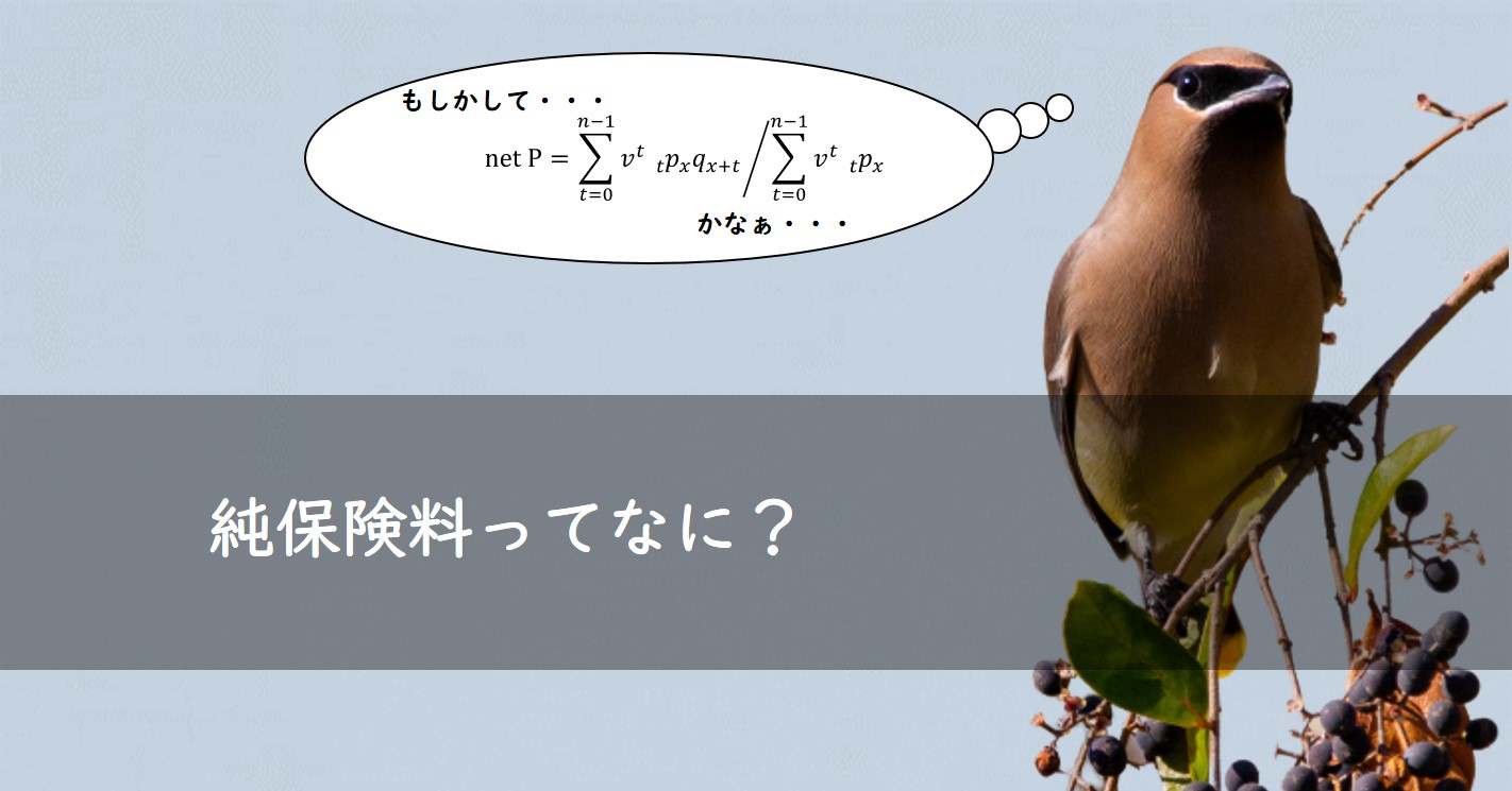 純保険料ってなに？